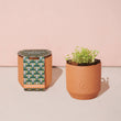 Load image into Gallery viewer, Terracotta Grow Kits