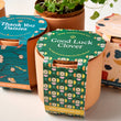 Load image into Gallery viewer, Terracotta Grow Kits