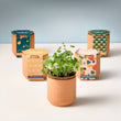 Load image into Gallery viewer, Terracotta Grow Kits