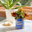 Load image into Gallery viewer, Compliment Grow Kits