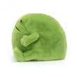 Load image into Gallery viewer, Jellycat Ricky Rain Frog