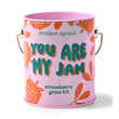 Load image into Gallery viewer, Compliment Grow Kits