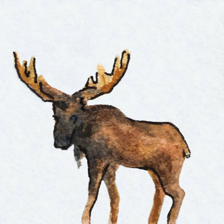Magnet - 1" Moose Watercolor Print
