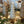 Load image into Gallery viewer, Snowy Carved Mango Tree
