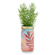 Load image into Gallery viewer, Modern Sprout - Herb Garden Jar
