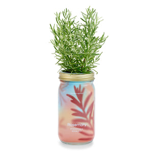 Modern Sprout - Herb Garden Jar