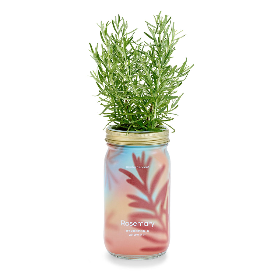Modern Sprout - Herb Garden Jar