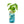 Load image into Gallery viewer, Modern Sprout - Herb Garden Jar
