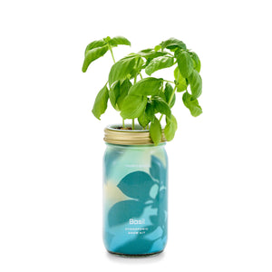 Modern Sprout - Herb Garden Jar