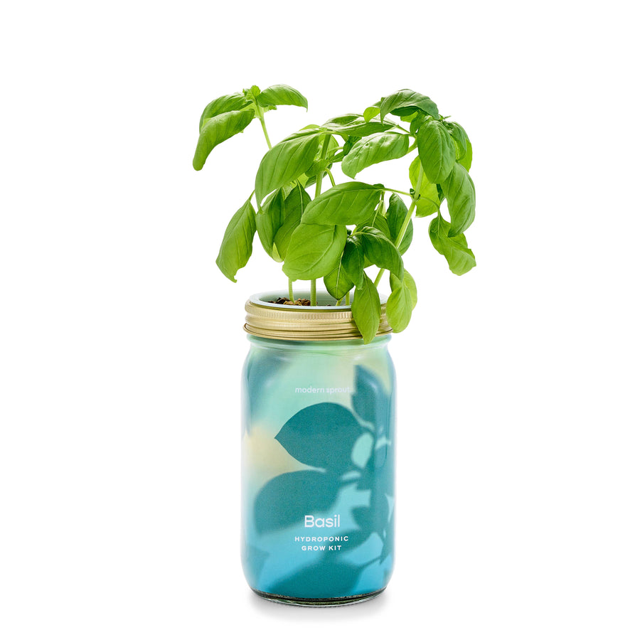 Modern Sprout - Herb Garden Jar
