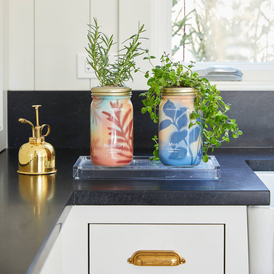 Modern Sprout - Herb Garden Jar