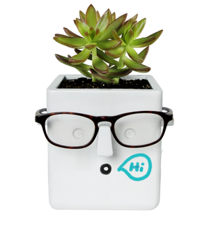 Plant & Glasses holder