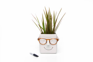 Plant & Glasses holder
