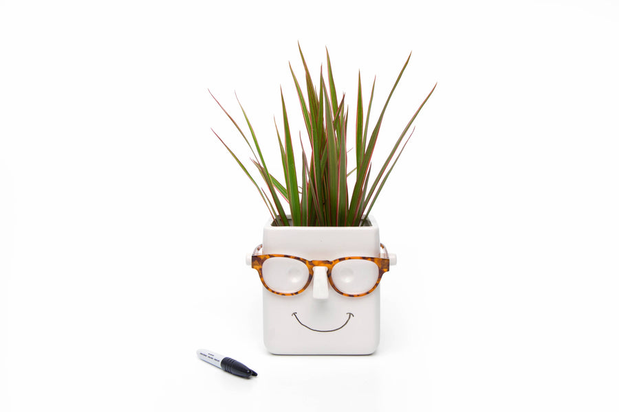 Plant & Glasses holder
