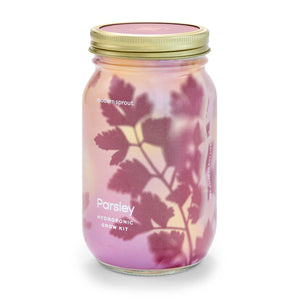 Modern Sprout - Herb Garden Jar