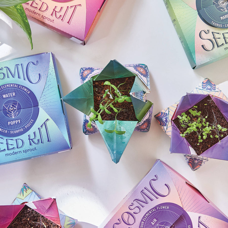 Cosmic Seed Kit