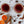 Load image into Gallery viewer, Wine Mix - Holiday Spiced
