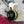 Load image into Gallery viewer, Handmade bee coin purse
