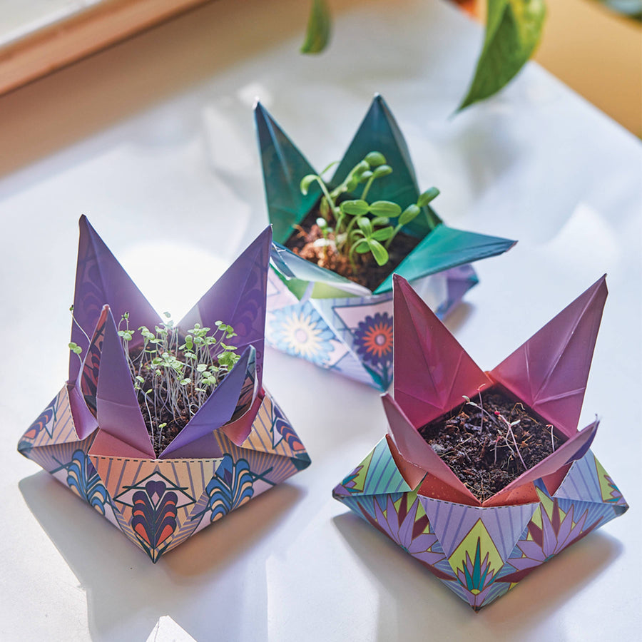 Cosmic Seed Kit