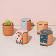 Load image into Gallery viewer, Terracotta Grow Kits
