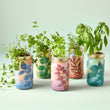 Load image into Gallery viewer, Modern Sprout - Herb Garden Jar
