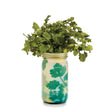 Load image into Gallery viewer, Modern Sprout - Herb Garden Jar
