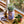 Load image into Gallery viewer, Modern Sprout - Herb Garden Jar
