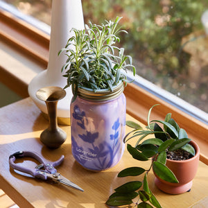 Modern Sprout - Herb Garden Jar