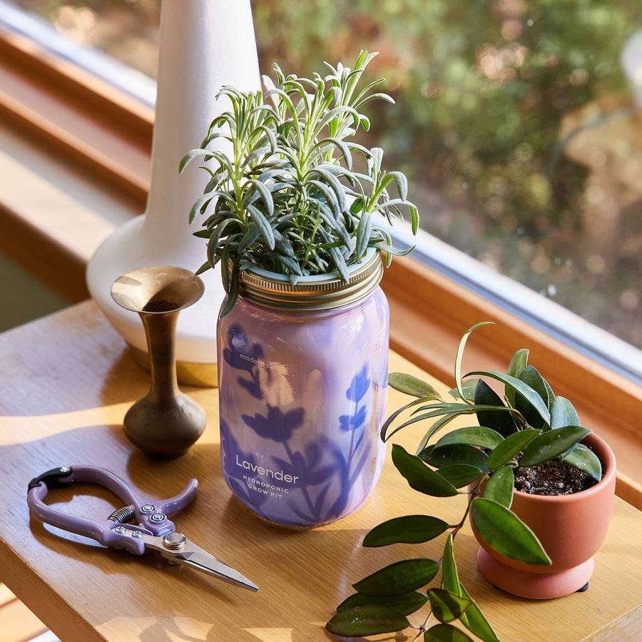 Modern Sprout - Herb Garden Jar