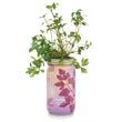 Load image into Gallery viewer, Modern Sprout - Herb Garden Jar
