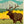 Load image into Gallery viewer, True South Puzzle - Rocky Mountain
