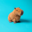 Load image into Gallery viewer, Jellycat Clyde Capybara
