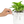 Load image into Gallery viewer, Plant &amp; Glasses holder
