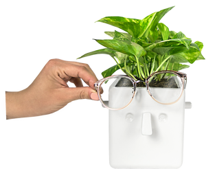Plant & Glasses holder