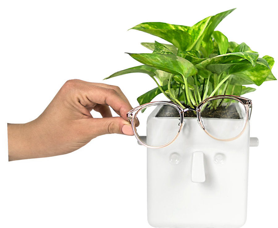 Plant & Glasses holder