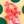 Load image into Gallery viewer, Candy Club - Santa&#39;s Belts
