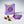 Load image into Gallery viewer, Cosmic Seed Kit
