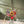 Load image into Gallery viewer, 3D Puzzle: Lilac
