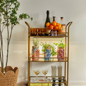 Modern Sprout - Herb Garden Jar