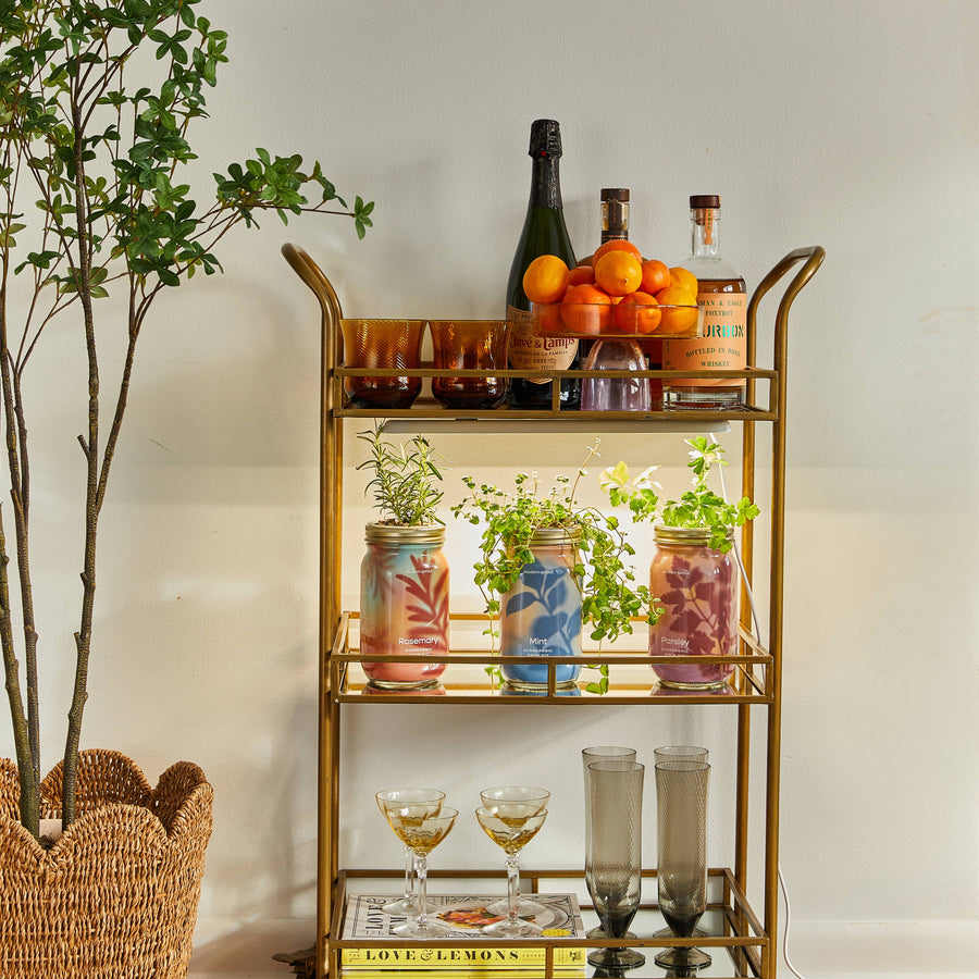 Modern Sprout - Herb Garden Jar
