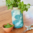 Load image into Gallery viewer, Modern Sprout - Herb Garden Jar
