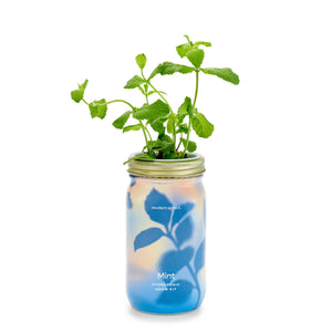 Modern Sprout - Herb Garden Jar