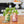 Load image into Gallery viewer, Modern Sprout - Herb Garden Jar
