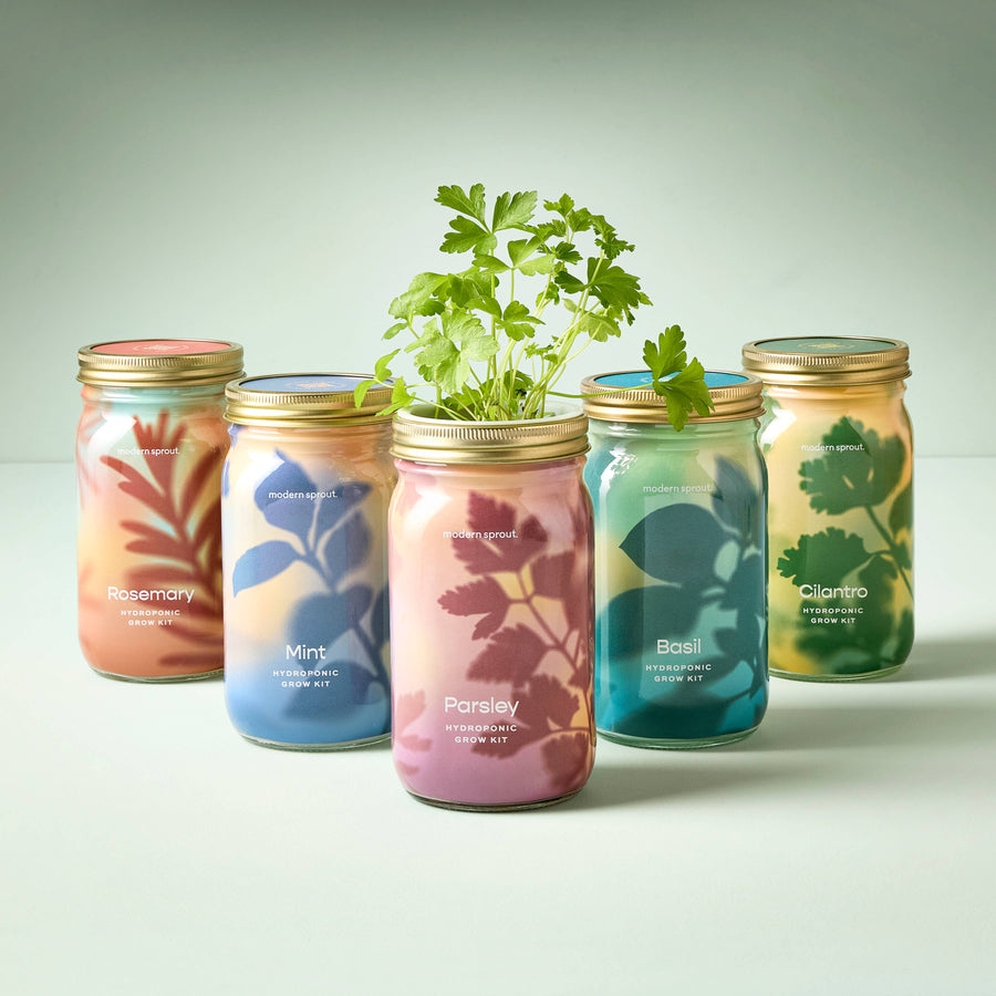 Modern Sprout - Herb Garden Jar