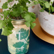 Load image into Gallery viewer, Modern Sprout - Herb Garden Jar
