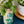 Load image into Gallery viewer, Modern Sprout - Herb Garden Jar
