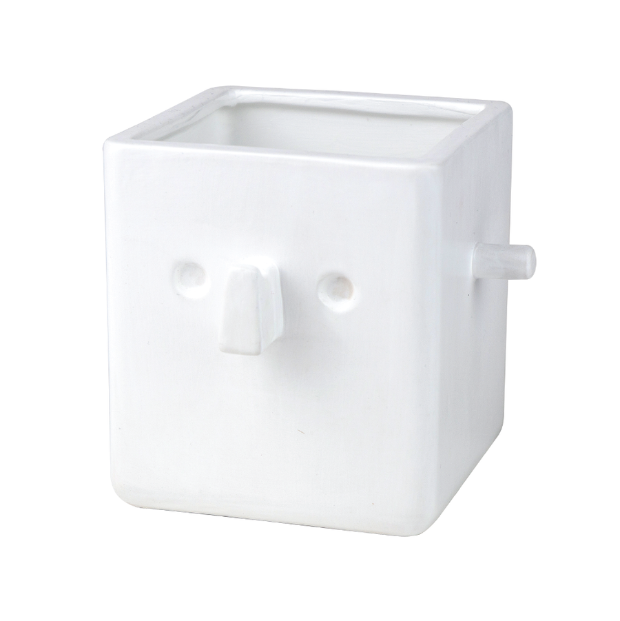 Plant & Glasses holder