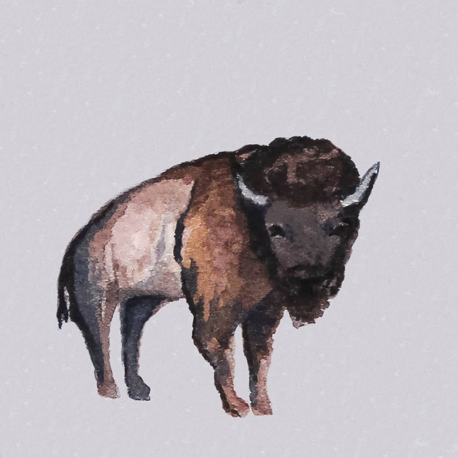 Magnet - 1" Bison Buffalo Watercolor Art