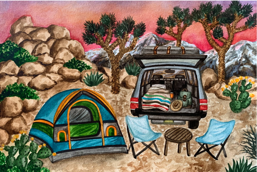 Micro Puzzles - Joshua National Park