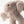 Load image into Gallery viewer, Jellycat Bashful Beige Bunny Ring Rattle
